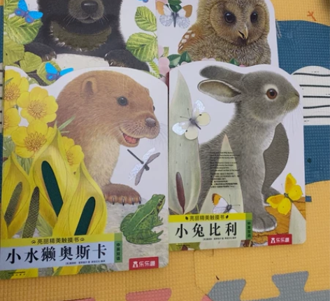 乐乐趣正版触摸书，6个月+，做工非常好，小...