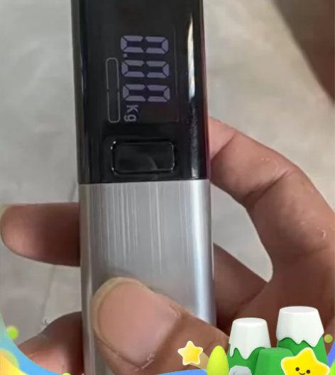 全新清货手提电子秤家用小型50kg公斤便捷...