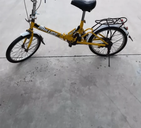 菲利普20英寸折叠自行车，非捷安特美利达 ...