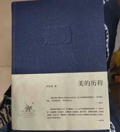 李泽厚 美的历程 很久很久之前买的 但是没...