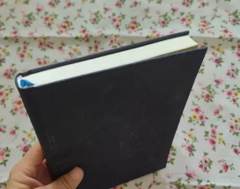 正版二手 美的历程 李泽厚 生活·读书·新...