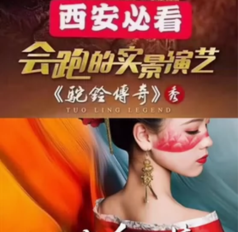 买1送1.西安千古情?驼铃传奇套票，旅游包...