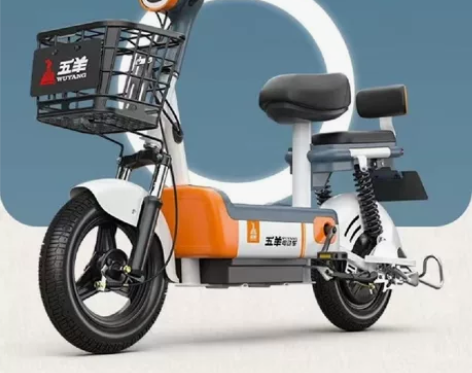 暖白色 ，48V，五羊泡泡，20AH（专用...