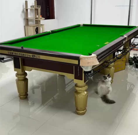 金腿钢库台球桌，买了一年日常使用划痕，基本...
