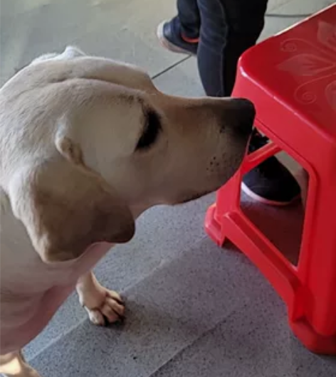 860充1000，以下地区话费86折，长期...