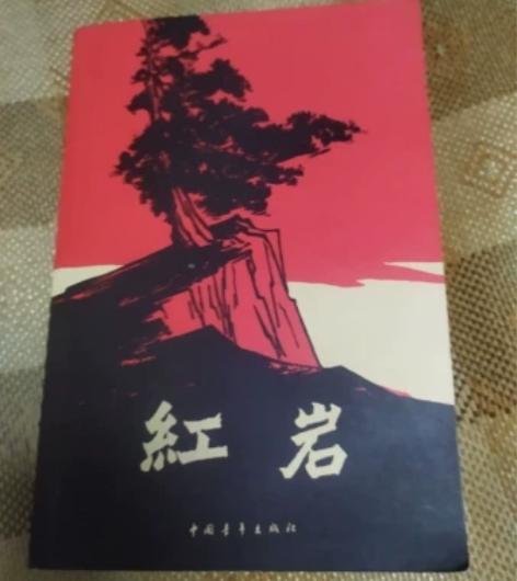 初中必读书目《红岩》，学校安排读完就没翻开...