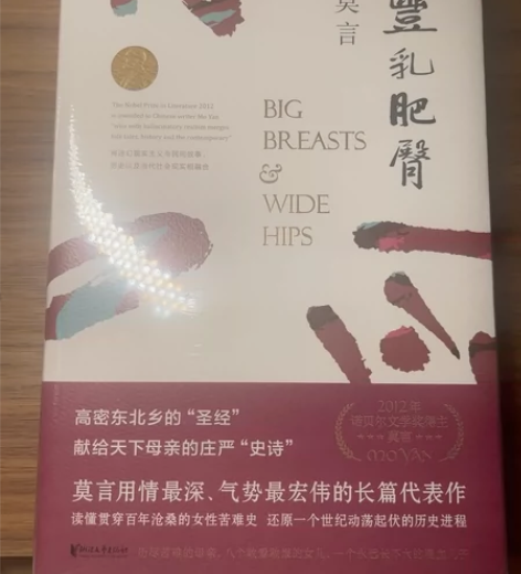 莫言作品 《丰乳肥臀》全新正版 未拆封 ...