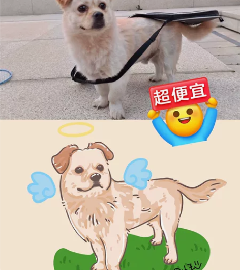 【新手白菜价！】手绘宠物画像头像定制狗狗猫...