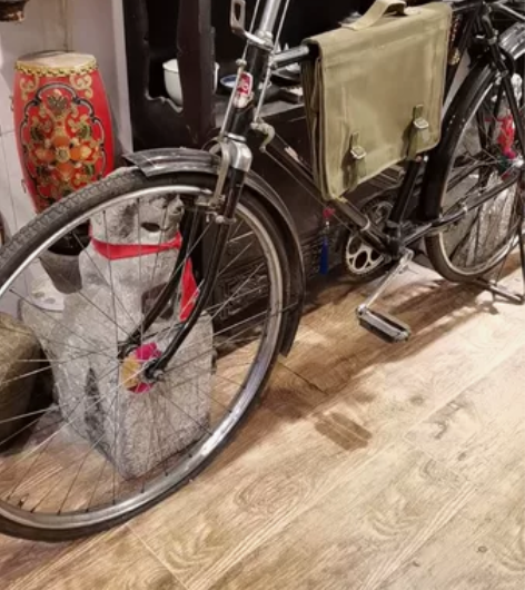 上海永久28大杠，八成新，正常使用，有需要...