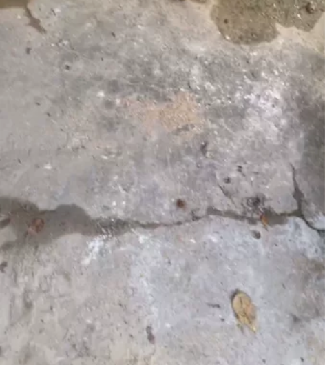 爱玛电动三轮车家用小型成人女士接送孩子三轮...