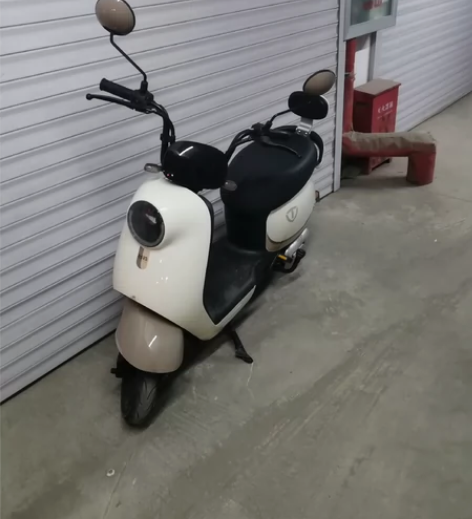 台铃和雅迪一样电动车大电池，刚买两个月，充...