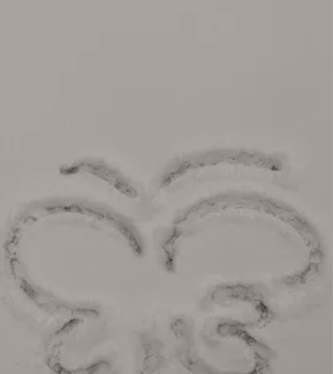 雪地代写，雪地签名，雪地画画，雪地表白。一...