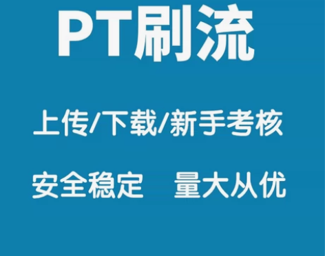 PT安全稳定刷流，刷上传/下载，过新手考核...