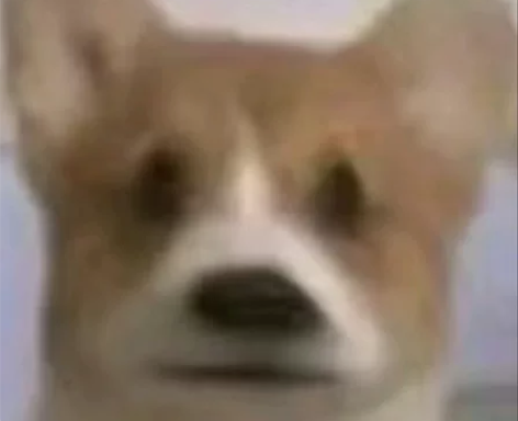 【接单】接插画 海报设计 可接商稿 也可接...