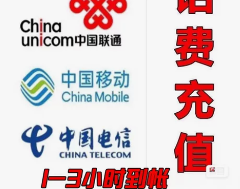 全国三网可充,一般1-180分钟内到账,个...