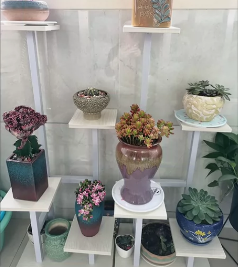 【花架捡漏】花架子客厅落地置物架阳台现代简...