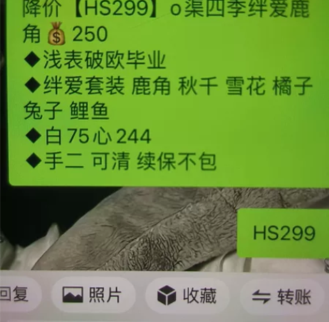 光遇ios阿努比斯武士裤蝙蝠斗绊爱 [蓝圆...