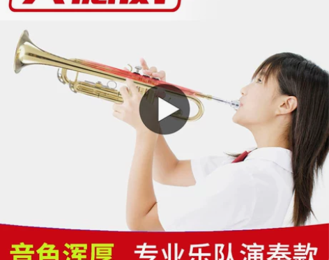 吹奏省力 美德威专业演奏小号乐器降B调学生...