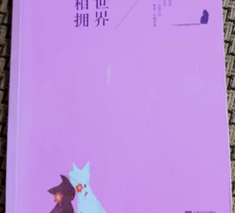 《愿你与这世界温暖相拥》毕淑敏 著 九成新...