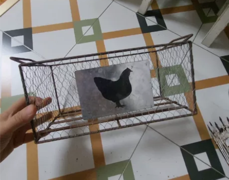 花园杂货铁艺铁网农场动物套盆花盆花篮 小件...