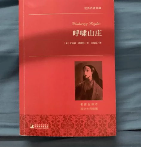 呼啸山庄 全新 包邮可直拍￥13