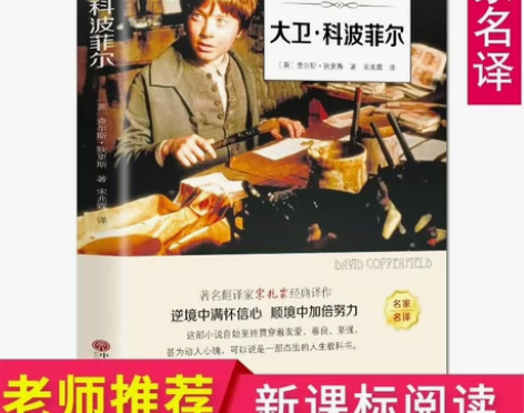 大卫科波菲尔有声阅读扫码听书原版中文版外国...