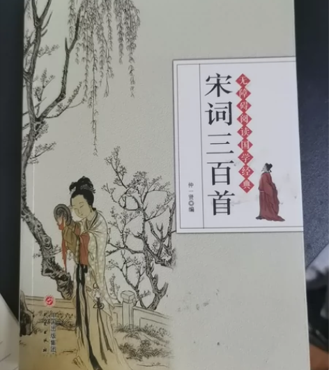 《宋词三百首》书籍一本，8成新，正版 感兴...