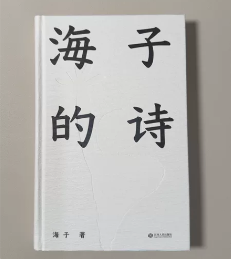 【当当网 正版书籍】海子的诗 七年级 暑期...