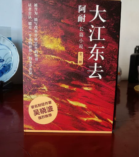 阿耐大江东去小说 大江大河电视剧原著 已经...