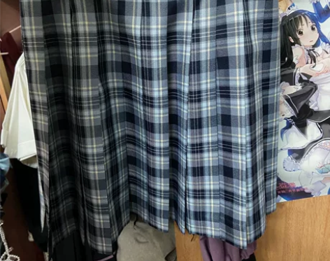 这两条都是正品的JK制服群 两条一起￥60...