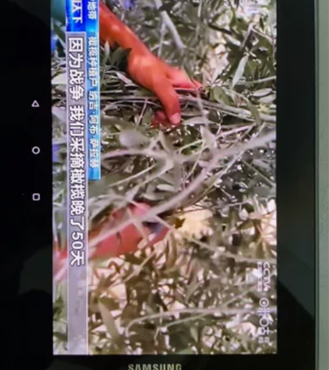 三星GALAXY Tab P6800 7....