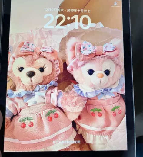 自用iPad2019款128g 第7代 平...