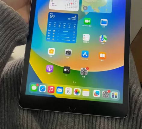 【95新】iPad9代2021款256g带...