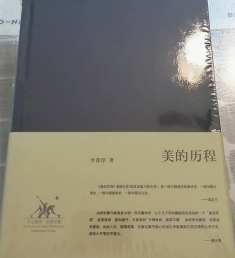 美的历程(精)//李泽厚集 照片中的都有，...