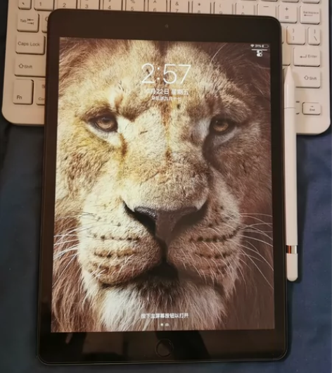 ipad2020 128g插卡版 无拆无修...