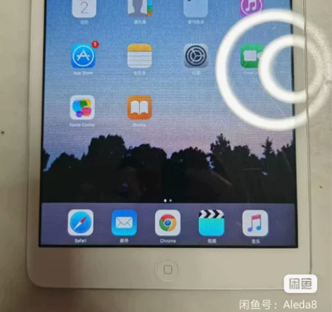 苹果 iPad mini， 16g 个人闲...