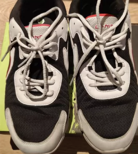 闲置一双二手李宁运动鞋一双，43码内长27...