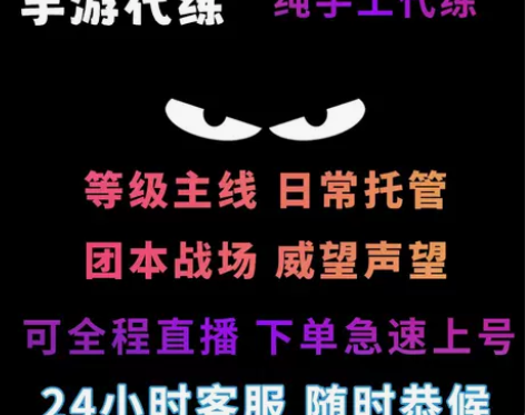 逆水寒手游代练代肝论武主线探索荣誉战力镜天...
