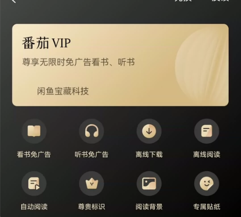 番茄畅享无限时免广告 小说畅听会员 vip...