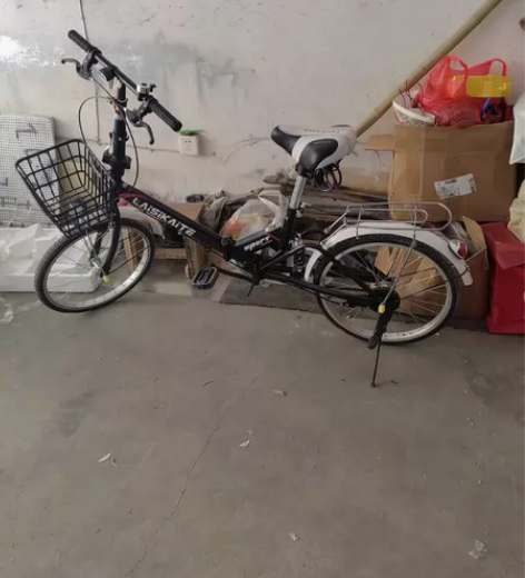 莱斯凯特20寸折叠自行车，99新免充气轮胎...