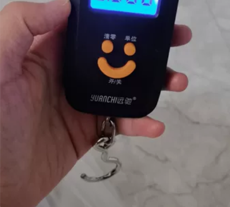 【全新低价】手提秤包邮50kg便携手提秤精...