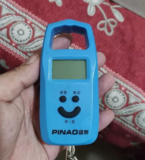 全新50kg手提电子秤，有两个，全新未用，...