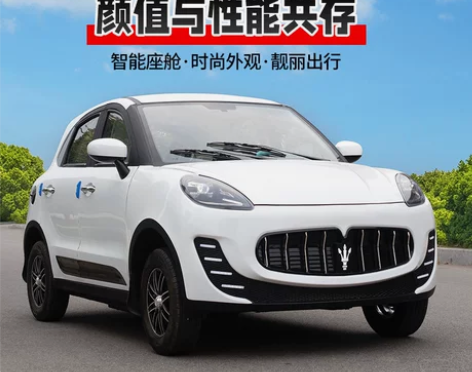 新款四轮电动车家用新能源成年人汽车小型女士...