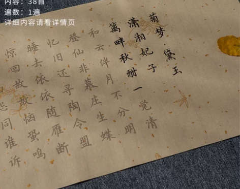 字帖＋墨水＋毛笔＋钢笔式毛笔＋墨囊（至少4...