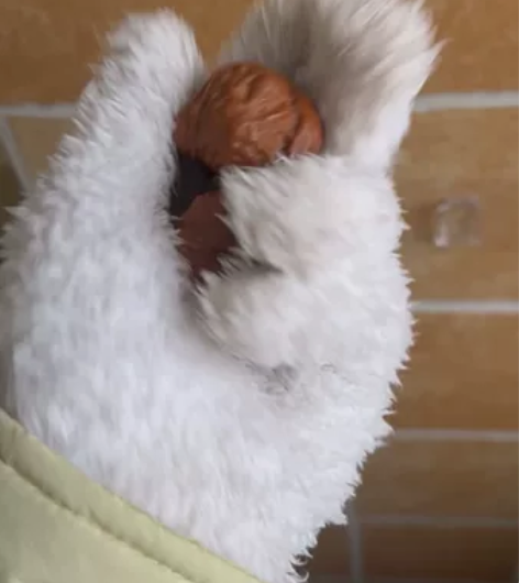 出35尺的蛙 盘玩过 六面发了修没修不大清...