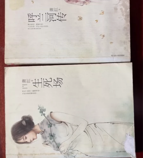 呼兰河传(无障碍精读版) 感兴趣的话点“我...