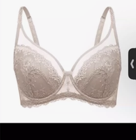 HSIA遐大胸显小全罩杯文胸倾城之恋蕾丝胸...