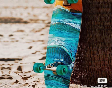carver 陆冲板 29.5寸 经典吞没...
