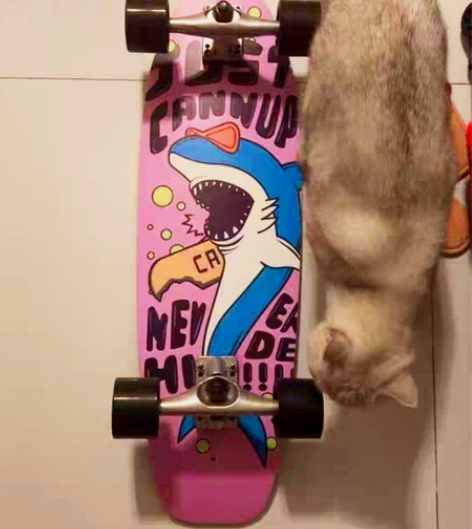 专业陆地冲浪板S7儿童初学者免蹬成人路冲滑...