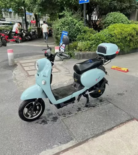 九成新台铃天空蓝新国标小龟 黄牌永久上路 ...